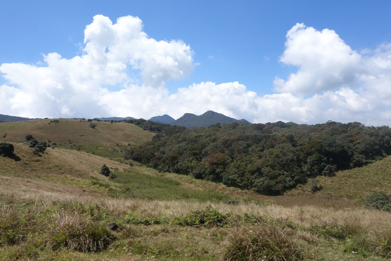 Tale of two Highlands Part I: Horton Plains, Sri Lanka