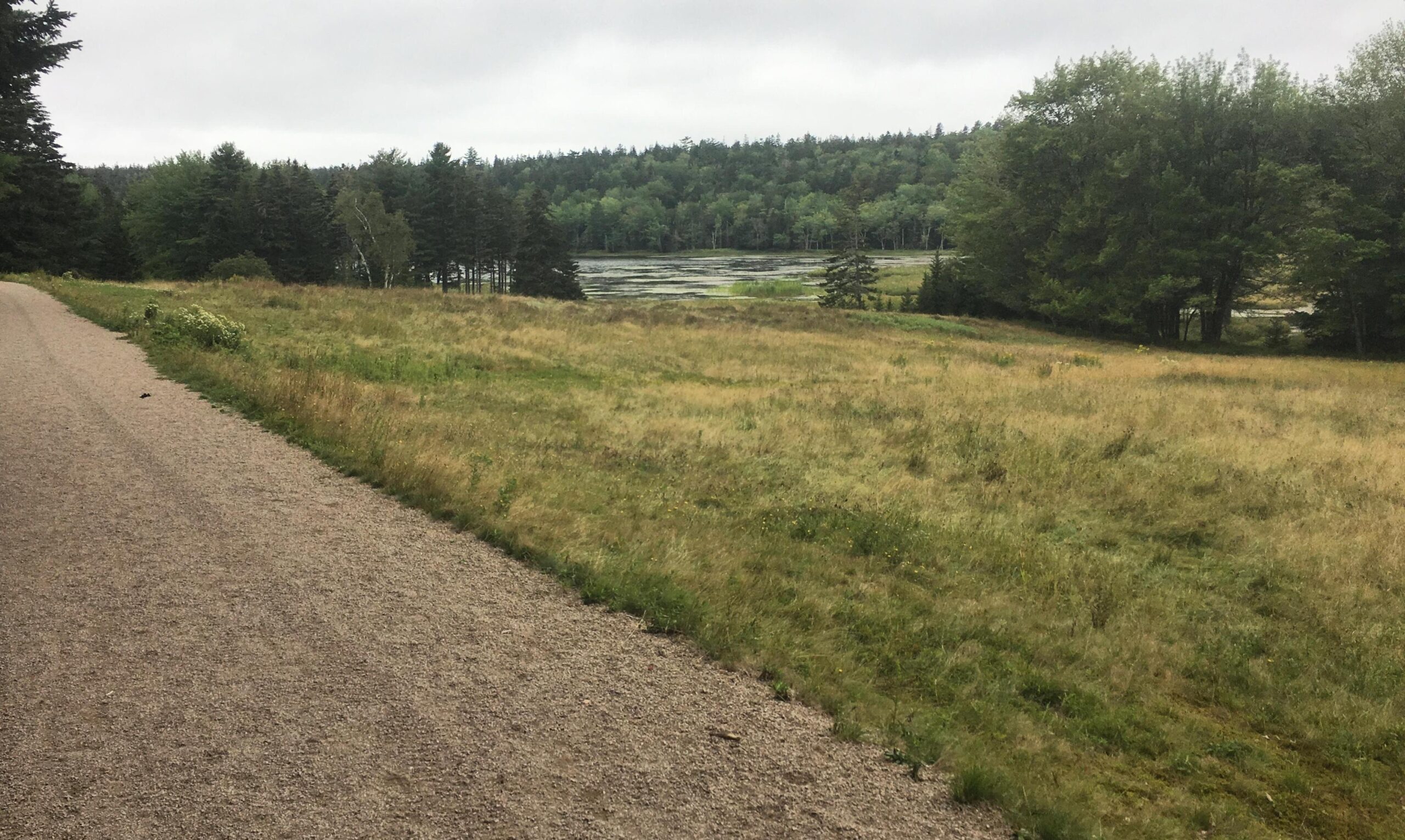 Using a 130-year-old dataset to inform ecological restoration decisions on Mount Desert Island, Maine, USA