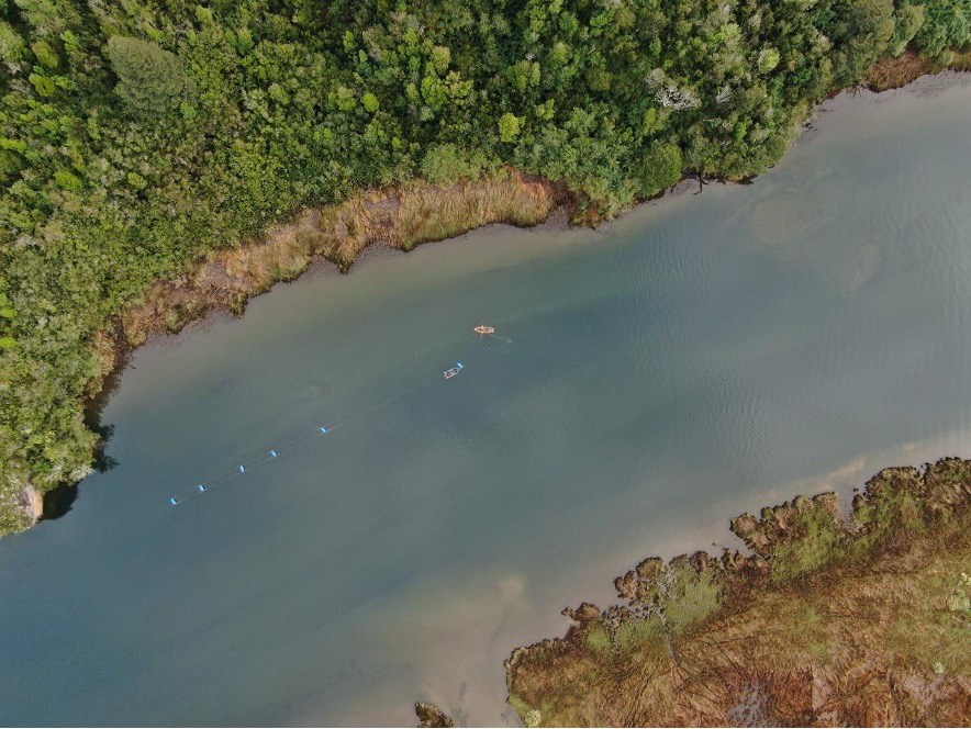 From green and blue forests to social-ecological restoration: restoration futures in southern Chile